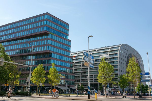 Poser des bordures de jardin sans béton : astuces pratiques