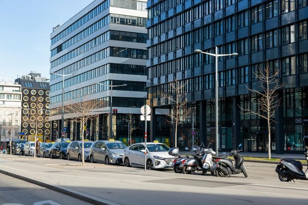 Les Meilleures Stratégies pour Une Vie Écologique