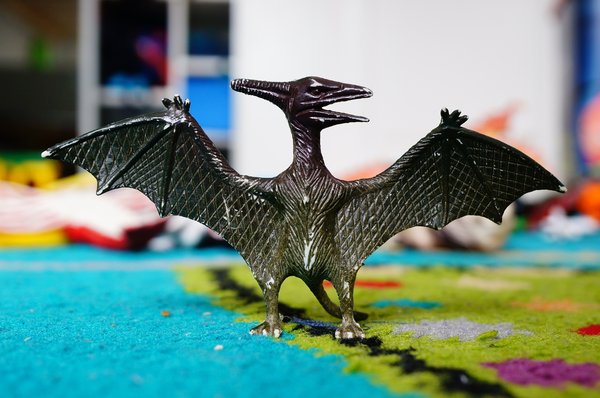 Le dragon du jeu : que faire durant l'interruption des services ?