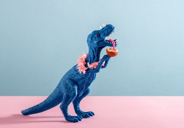 Plongez dans l'univers magique des peluches dragon !